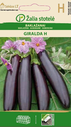 🎁️ Baklazani Giralda F1