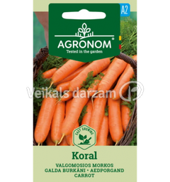 🎁️ Burkani Koral