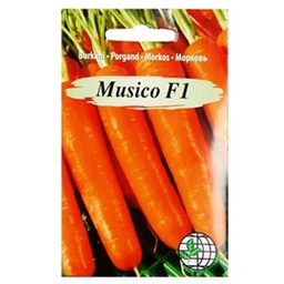 🎁️ Burkani Musico F1